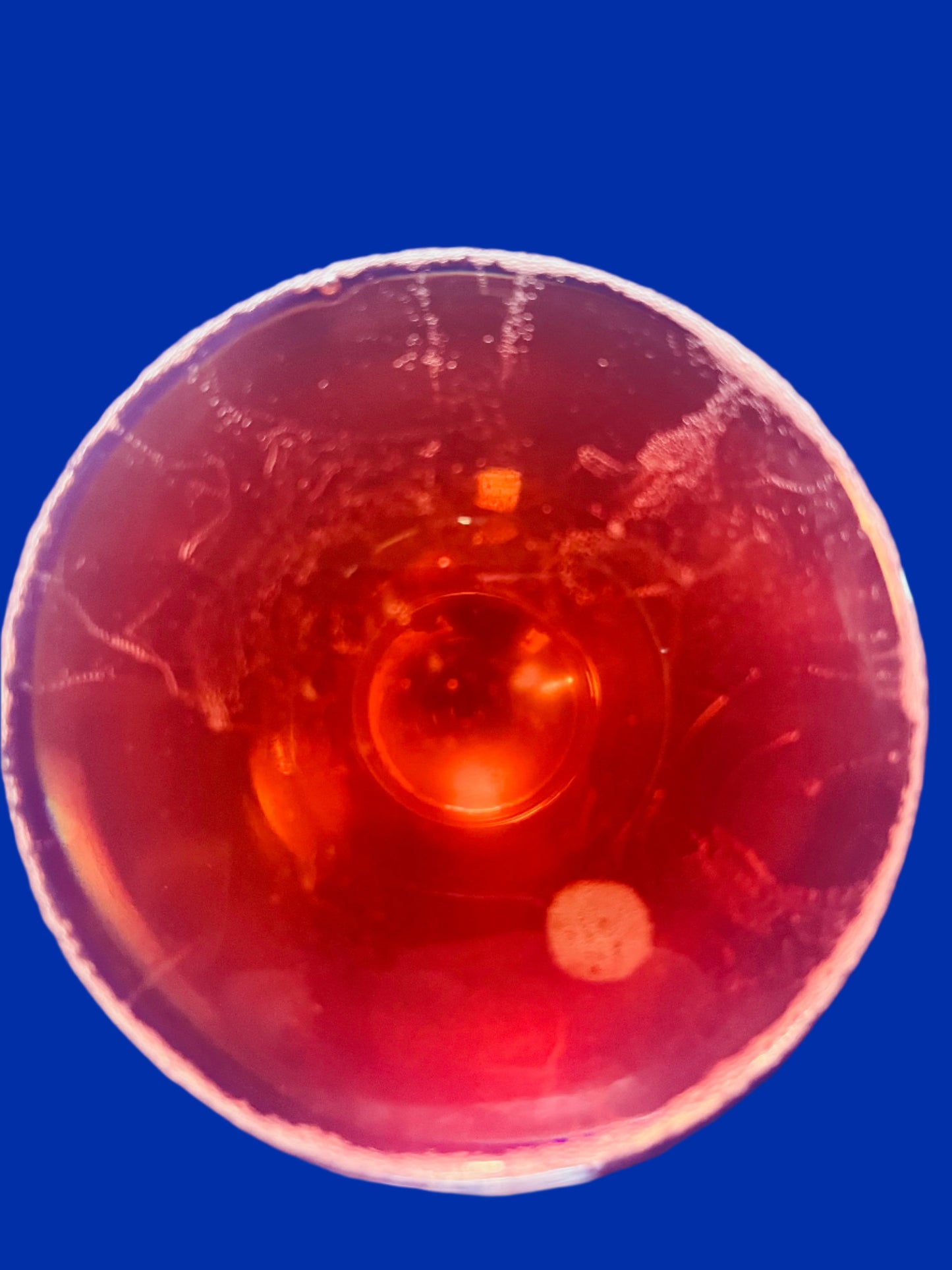 AGNÈS & RÉNÉ MOSSE Moussamoussettes