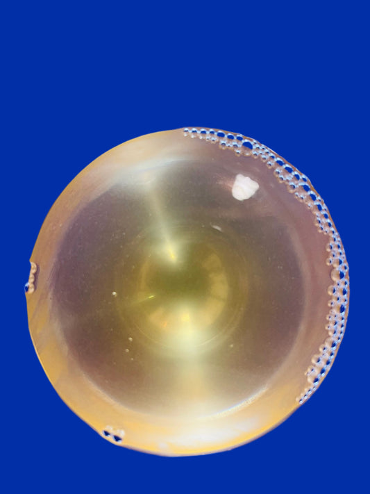 CANTINA GIARDINO Tu Tu