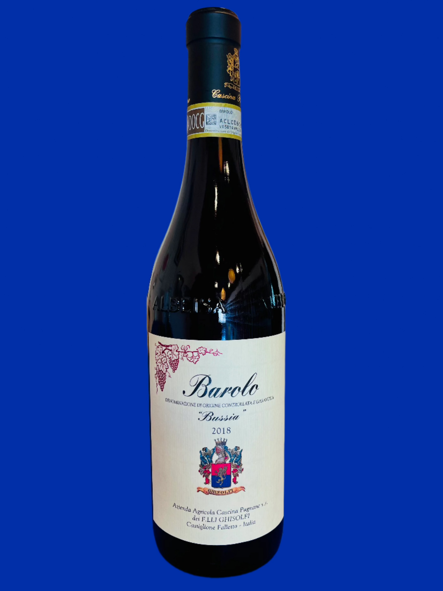 CASCINA PUGNANE Bussia Barolo