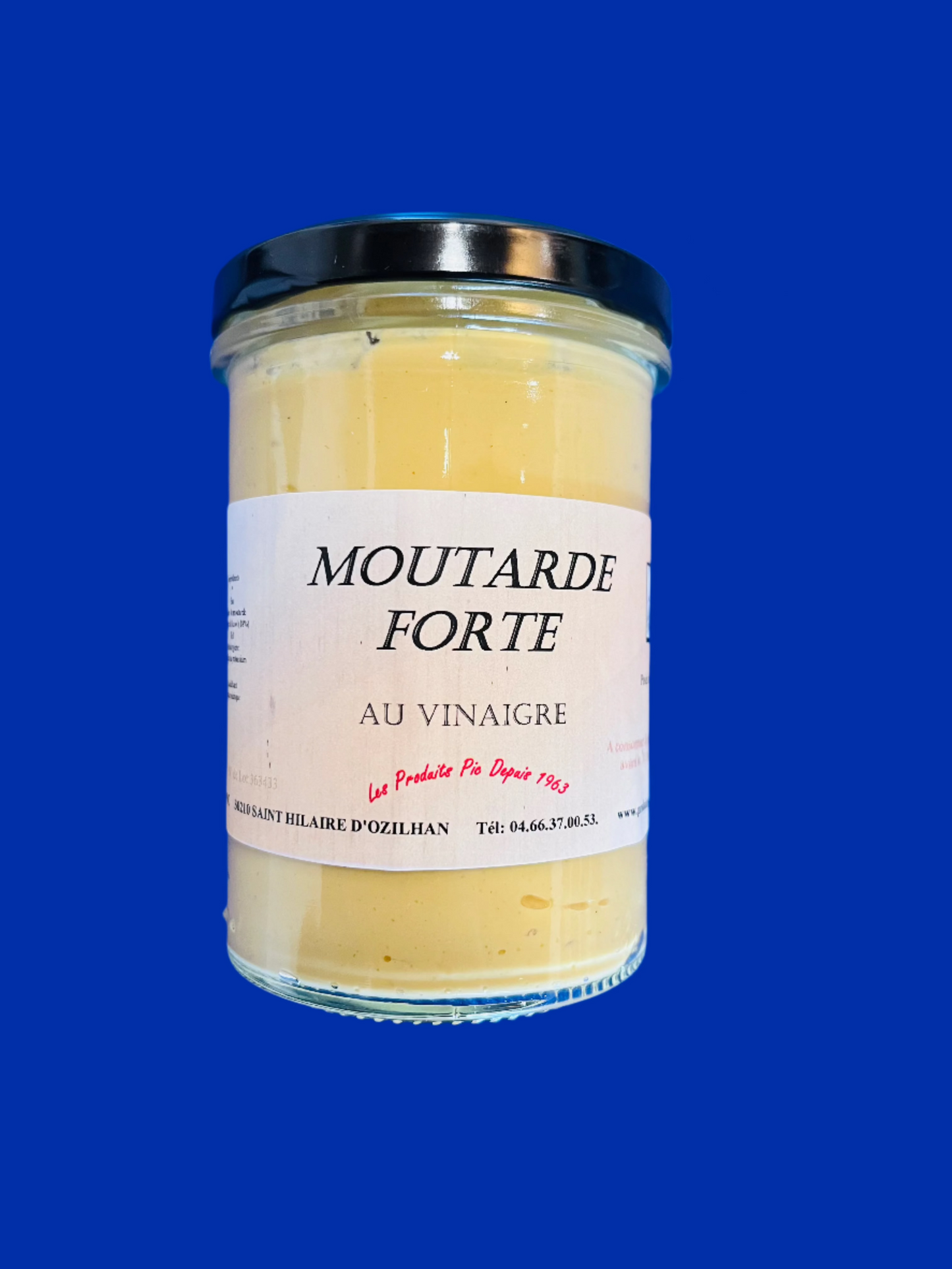 PRODUIT PIC Mustard Forte