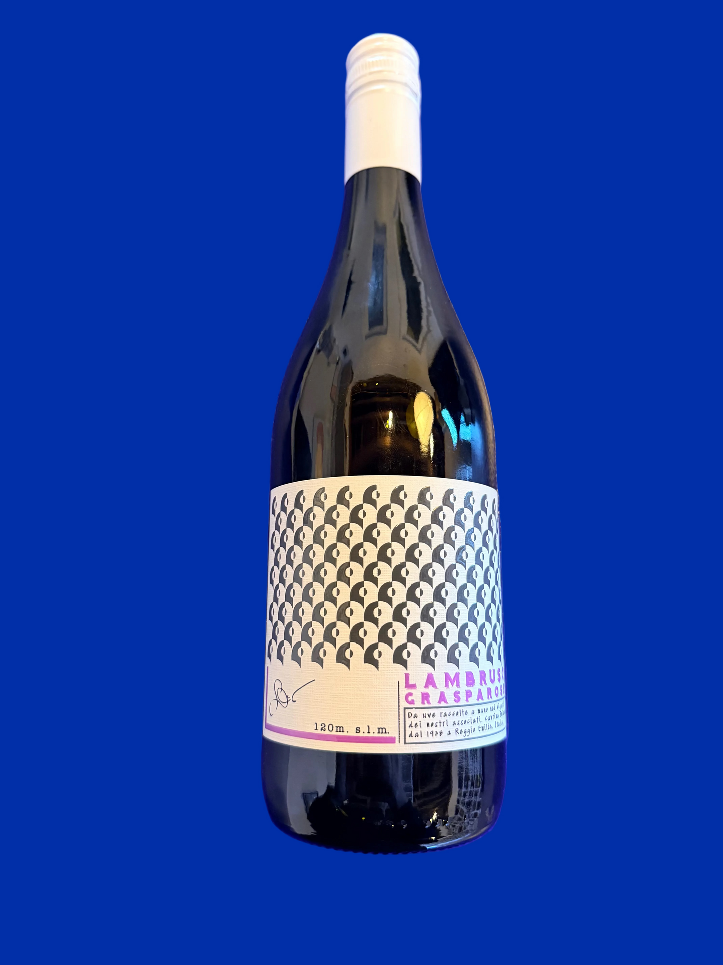 CANTINA PUIANELLO Lambrusco Grassparossa