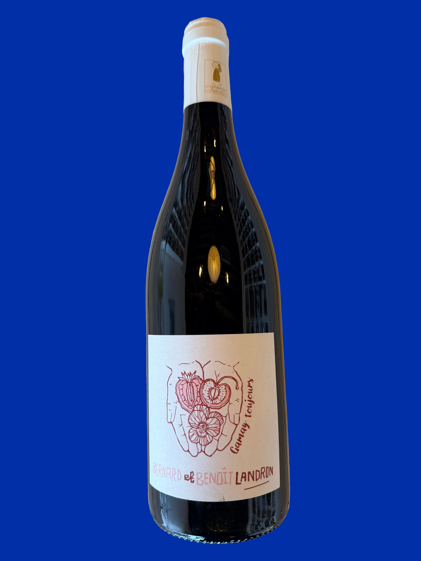DOMAINE LANDRON-CHARTIER Coteaux d'Ancenis "Gamay Toujours" '23