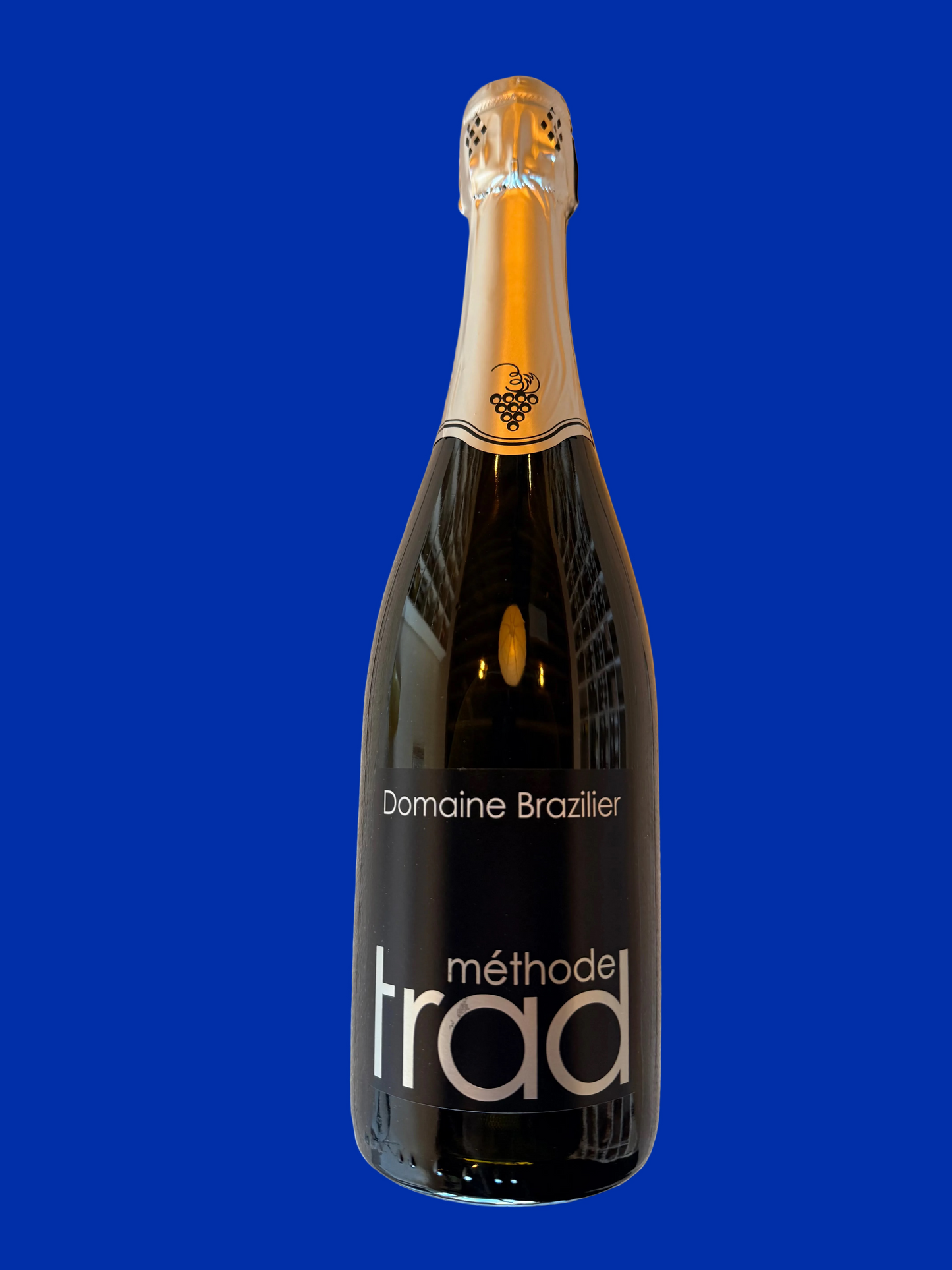 DOMAINE BRAZILIER "Methode Traditional" Brut