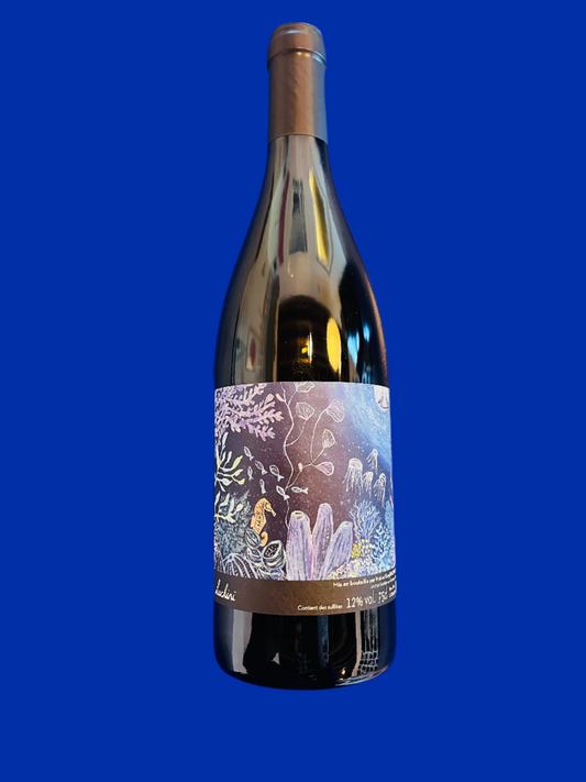 MAI & KENJI HODGSON Luchini Blanc