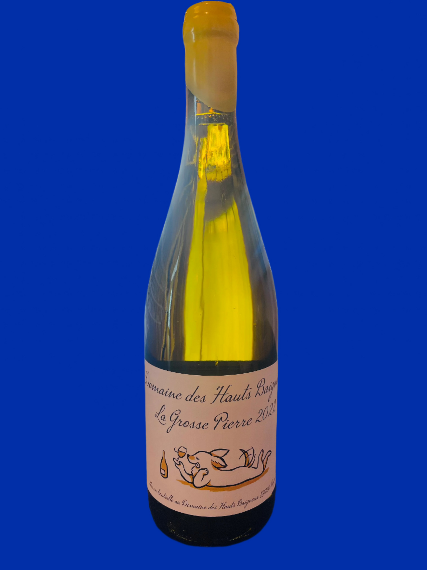 DOMAINE des HAUTS BAIGNEUX La Grosse Piere